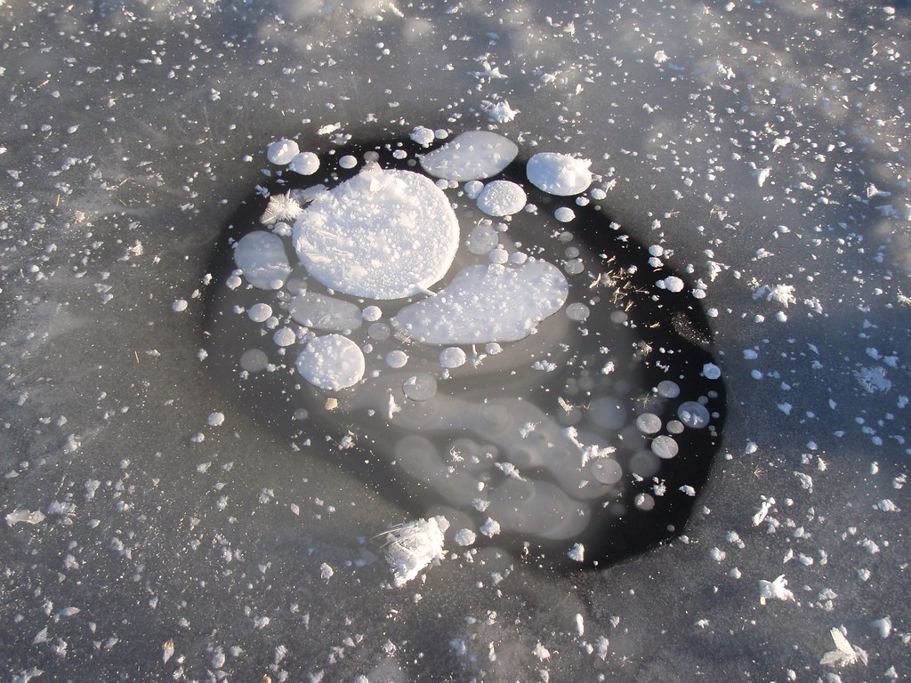 Frozen Methane Bubbles — illustrating carbon credit off takers