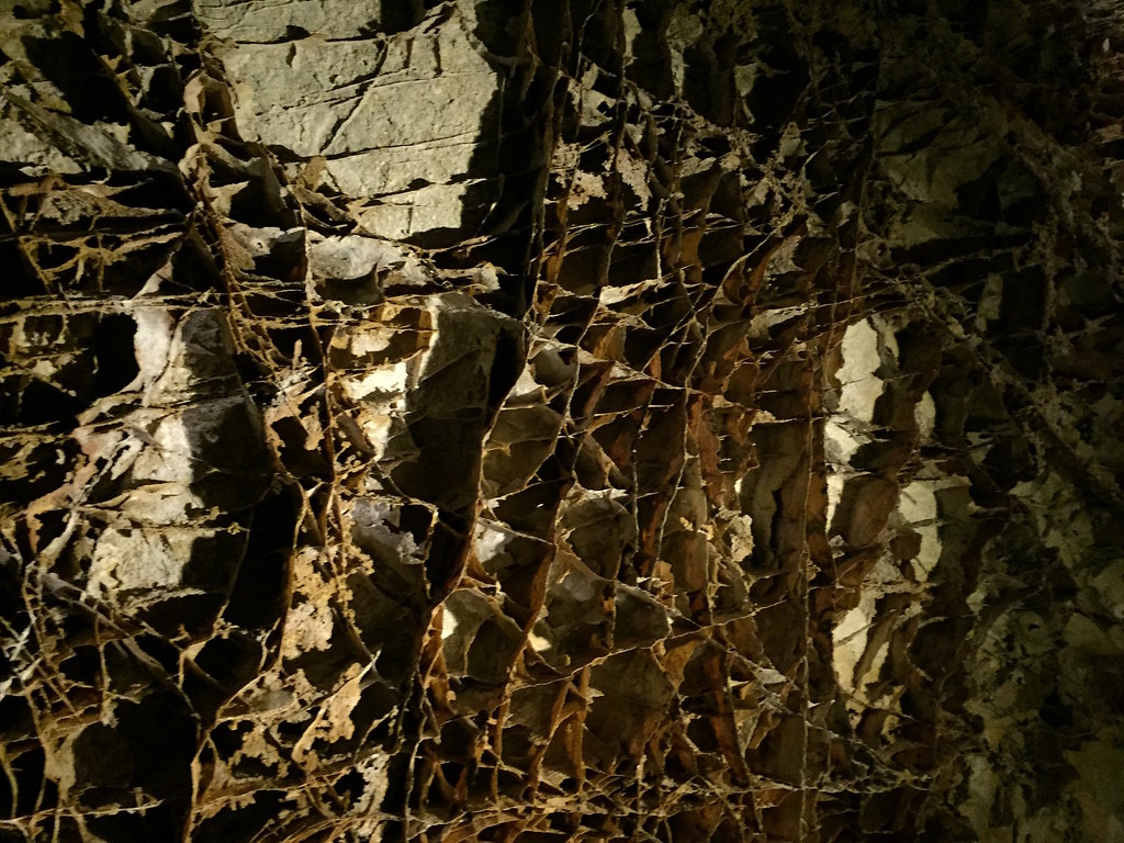 Boxwork — related to carbon credit off takers cost